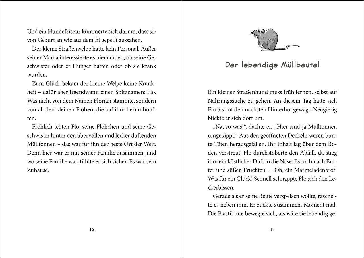 Die Straßengäng (Band 1) - Eine Pfote wäscht die andere: Erlebe die Abenteuer einer (fast) furchtlosen Gang - Kinderbuch mit urkomischen Tieren ab 8 Jahren