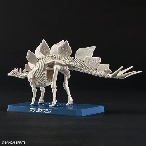 Miniatura 8 de Bandai Hobby - Plannosaurus - #03 Stegosaurus, kit de modelo de dinosaurio Bandai Spirits