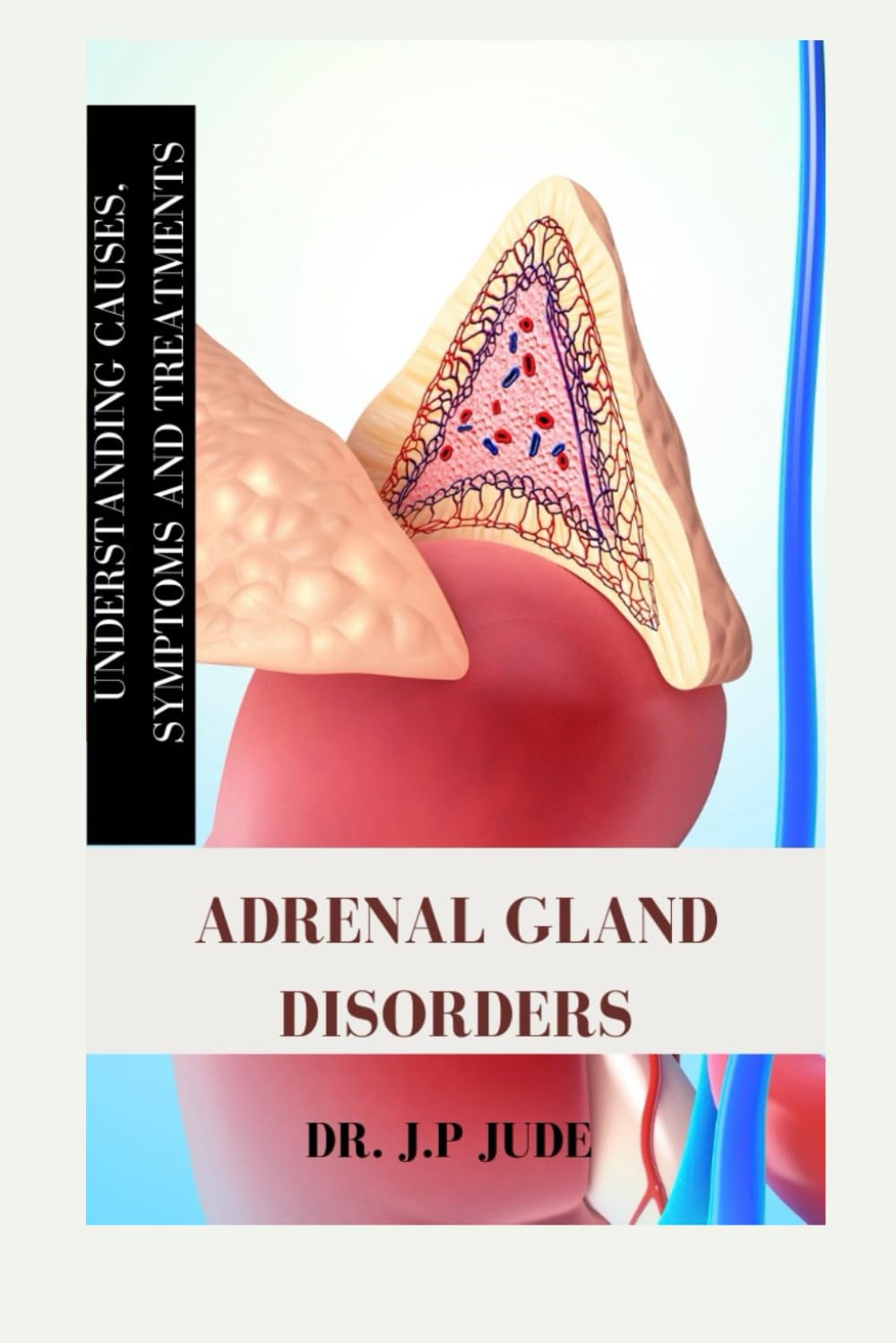 ADRENAL GLAND DISORDERS: UNDERSTANDING CAUSES, SYMPTOMS AND TREATMENTS