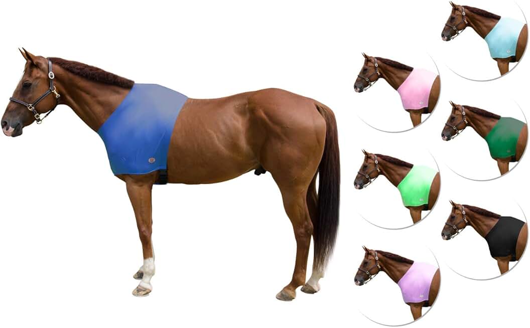 horse shoulder guard