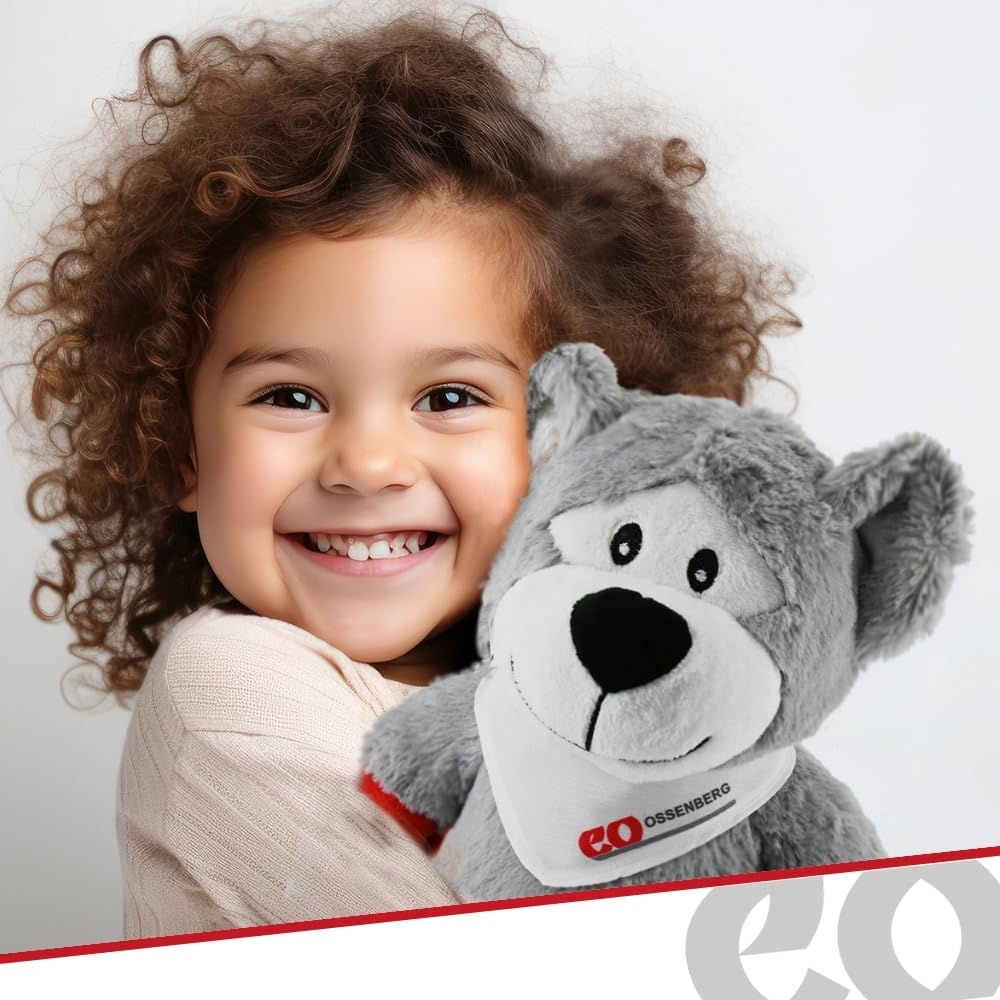 Ossenberg Orsetto peluche con stampelle, grazioso orsacchiotto con stampelle, set da 1 grande, 1 piccolo con anello portachiavi