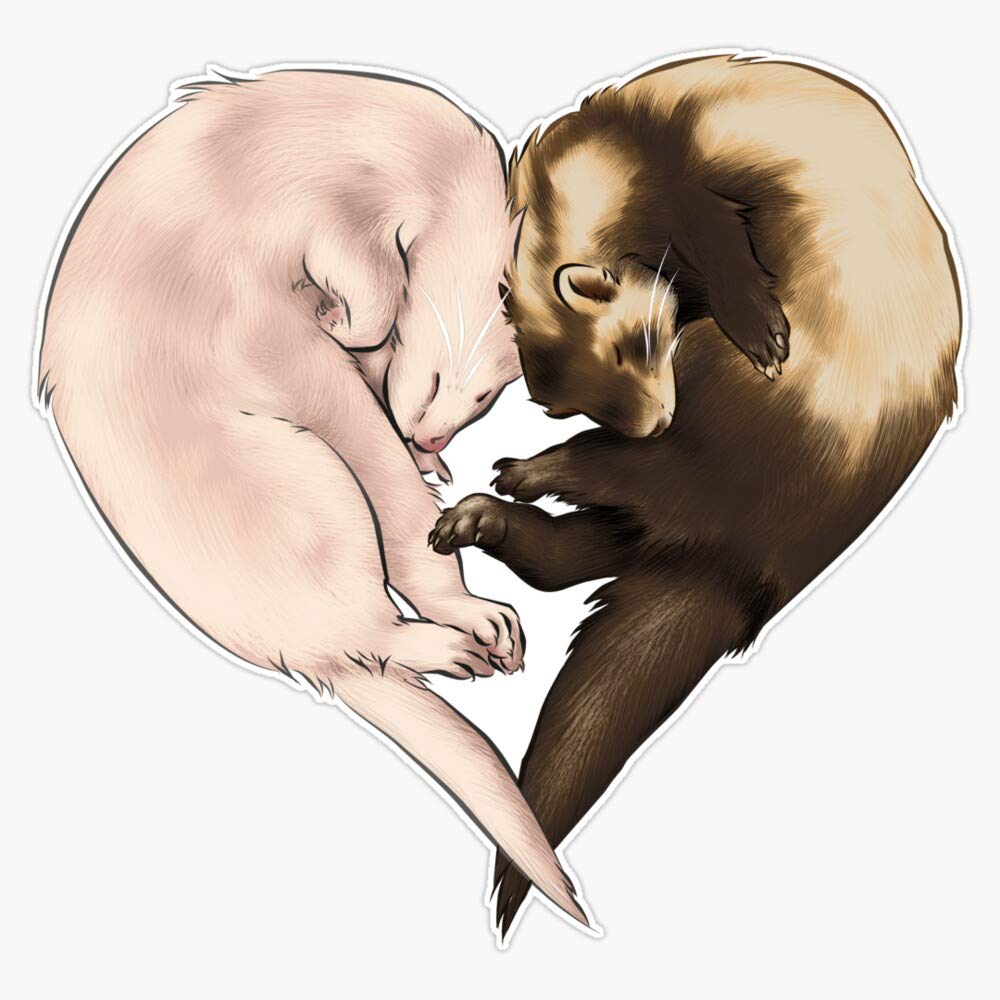Ferret Love Sticker Decal Vinyl Bumper Sticker Decal Waterproof 5