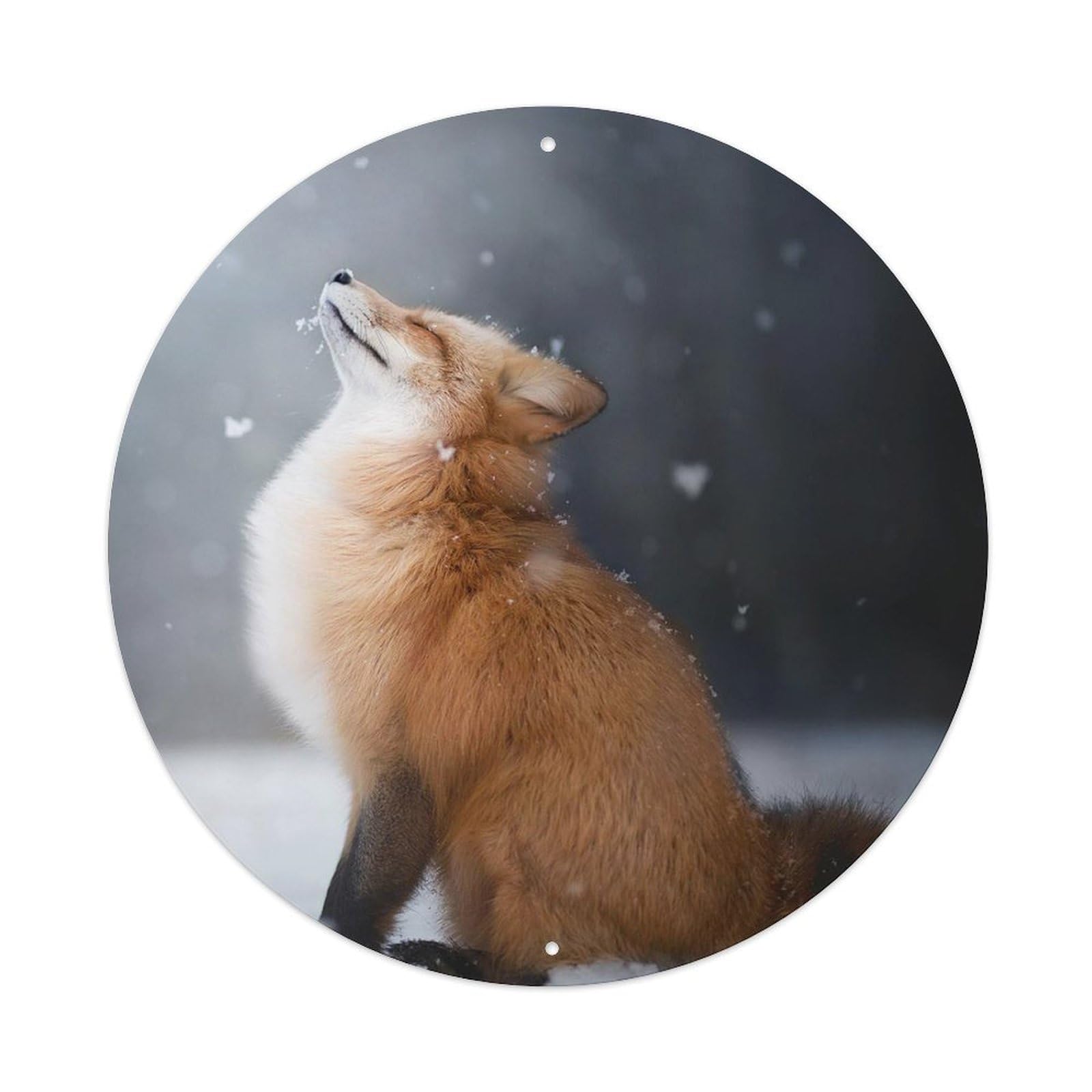 Animals Fox in The Snow Metal Tin Sign
