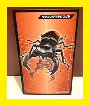 Amazon.co.jp: ムシキング 20周年 セアカフタマタクワガタ 購入