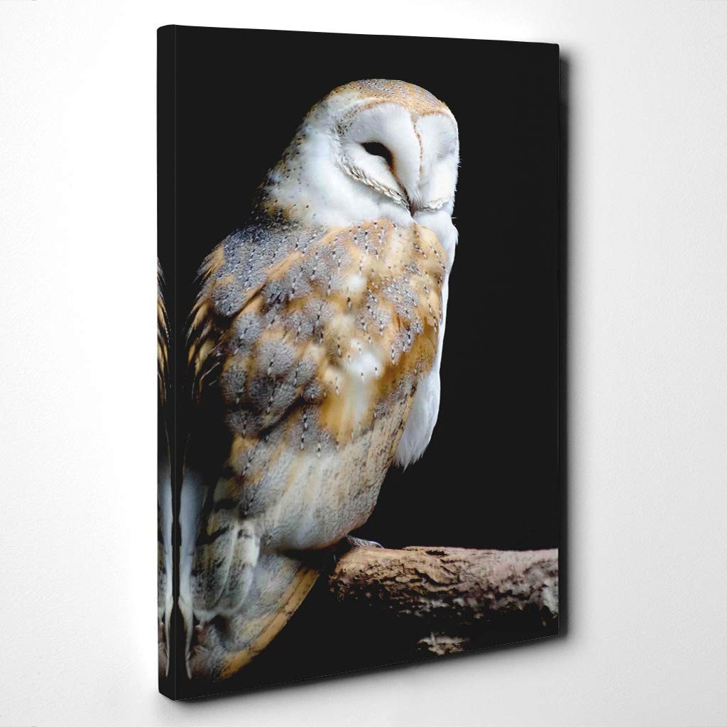 Barn Owl Bird (1) Canvas Print | Gallery Wrapped 30mm Frame Wall Art | 24x16 inches | Ready to Hang | Modern Animals Picture | Living Room Bedroom Lounge Office