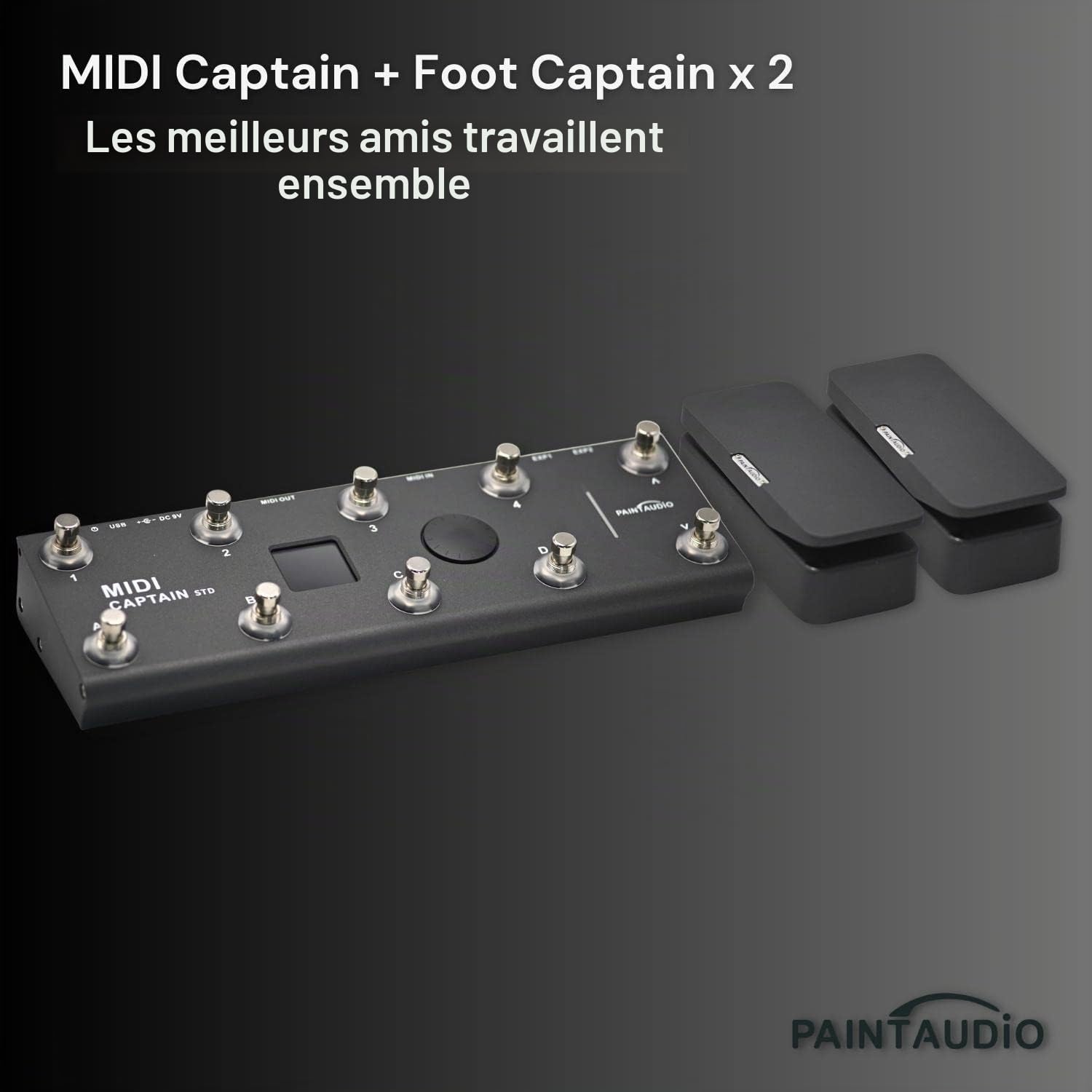 Paint Audio Foot Captain Pédale d'expression multi-effets compatible avec connexion pointe/anneau (Foot Captain)