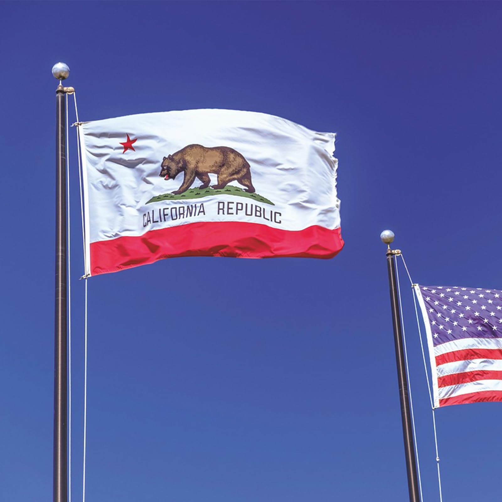 Amazon.co.jp: カリフォルニア州旗 3x5フィート 屋外 鮮やかな色
