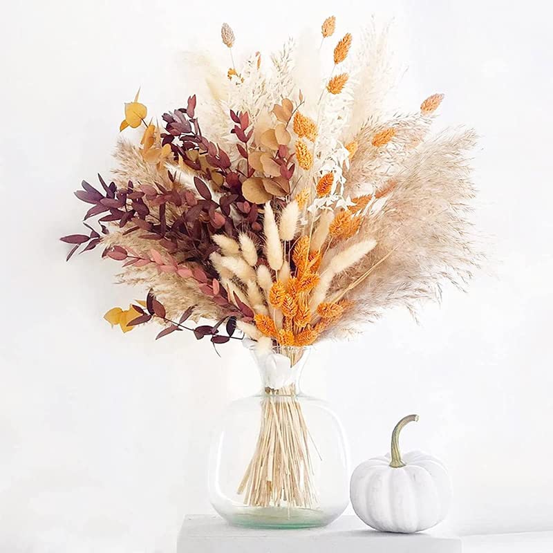 Ramo de Pasto Pampas Seco Boho Decor 100 varas miniatura 2