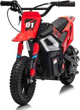 12" Fat Tire Electric Dirt Bike for Teens,350w Motor, 24v Battery, 14MPH Top Speed for Off-Road Trails & Backyard Riding