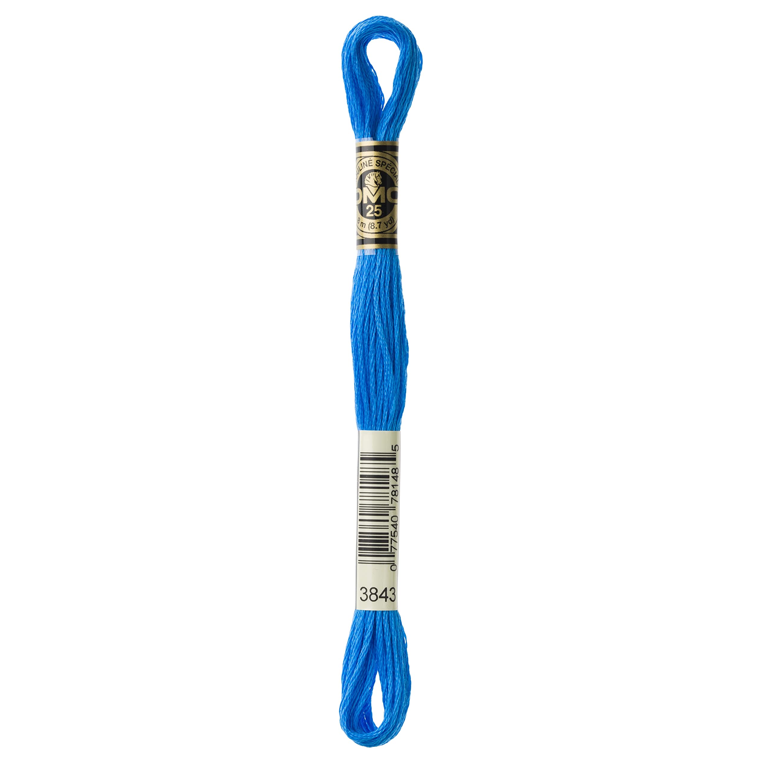 DMC 6-Strand Embroidery Cotton Floss, Electric Blue