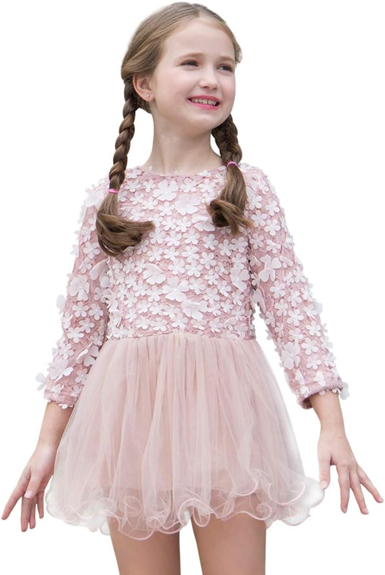 Toddler Kid Girls Dress, 3D Floral Lace Dress, Long Sleeve Christmas Party Dresses for Princess