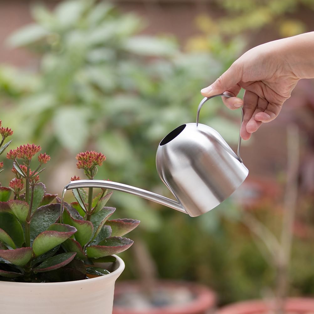 Yardwe Edelstahl Gießkanne 500Ml Für Zimmerpflanzen Indoor Mit Langen Auslauf Zur Präzisen Bewässerung Von Pflanzen Und Blumen Im Garten Und Zuhause