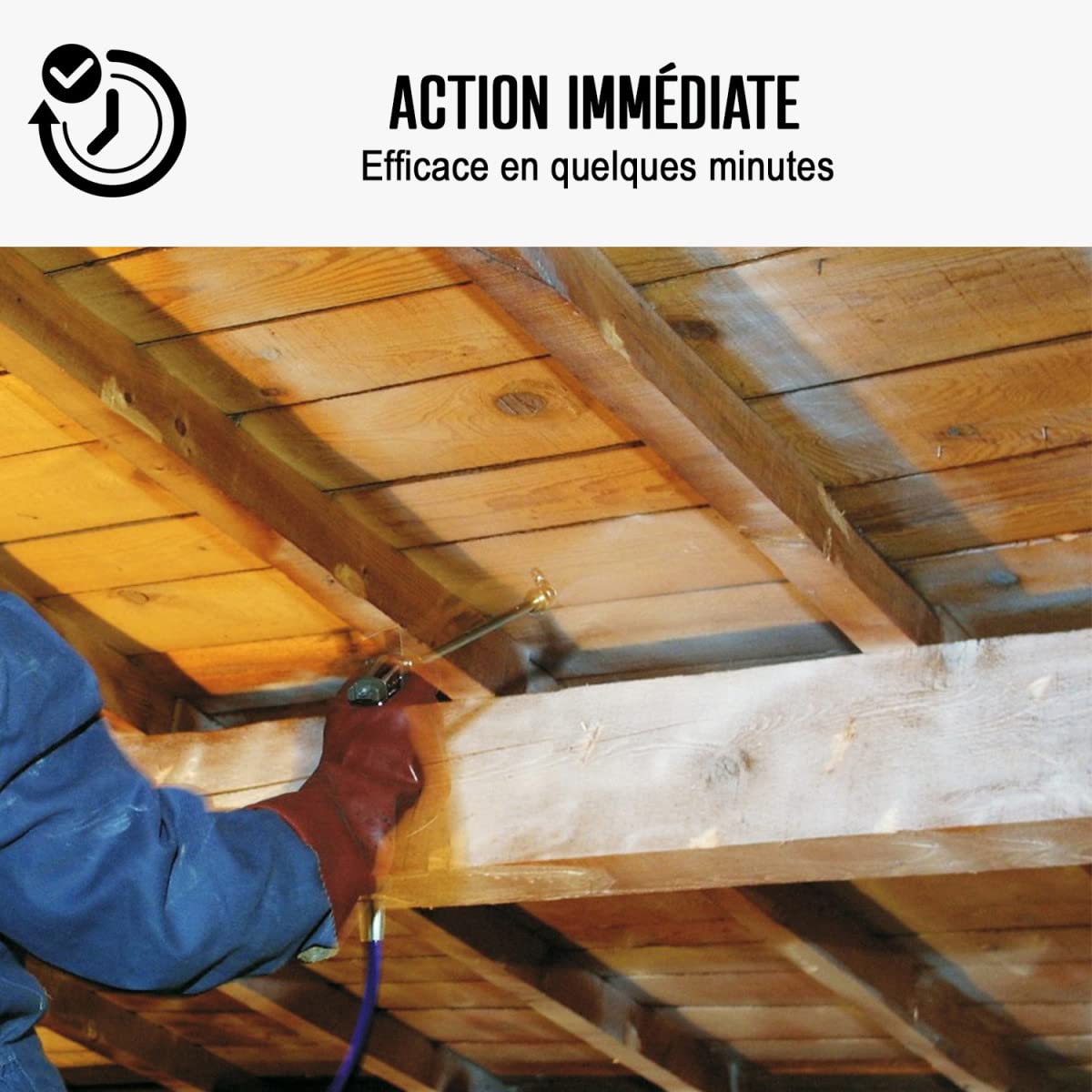 Traitement mérule, produit extérieur ou intérieur - 20 L - ARCANE INDUSTRIES
