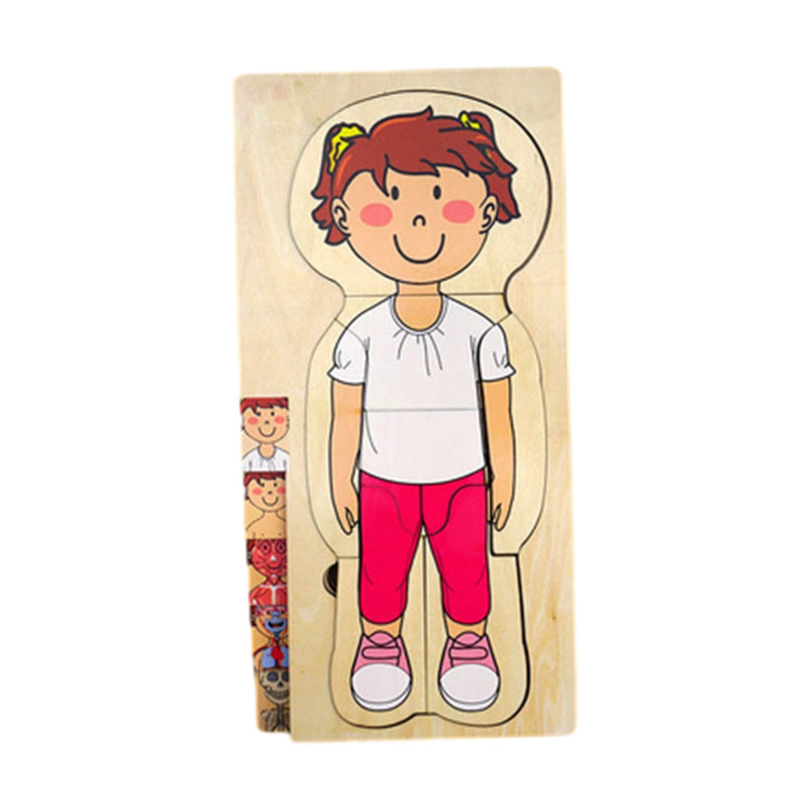Generic Rompecabezas del Cuerpo Humano, Rompecabezas, Rompecabezas Intercambiables para Desarrollar Habilidades Motoras Finas, Rompecabezas de Partes del Cuer, Muchacha