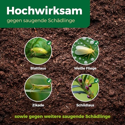 PROTECT GARDEN Lizetan Plus Blattlausfrei AF Spezialspray gegen Blattläuse an Rosen, Zierpflanzen, Obst und Gemüse, 1 Liter