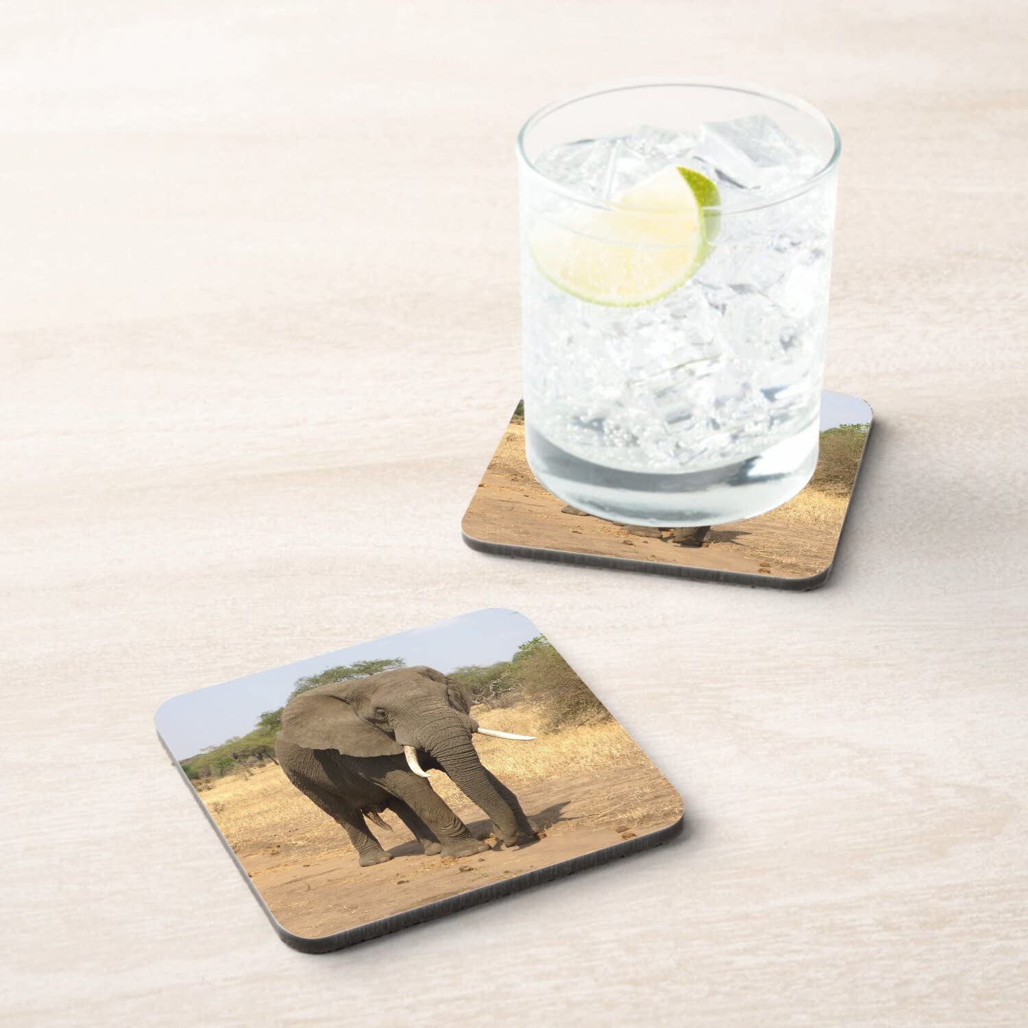 Sous Verre Liège (Lot De 6) Bouquet Fleurs Sauvages Rose Simple Motif