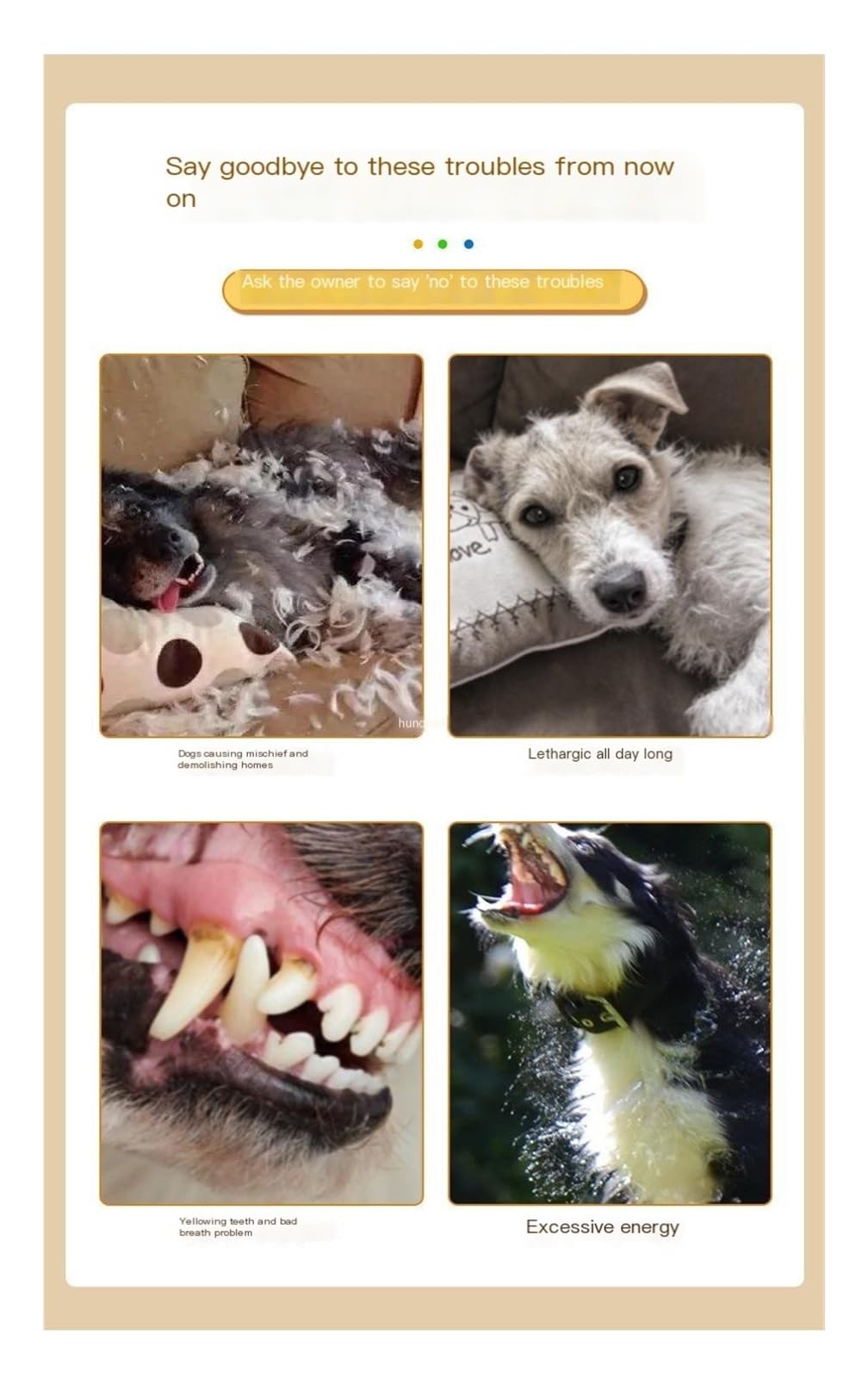 Brosse à dents pour chien - Jouet à mâcher agressif - Pour chiens de grande et moyenne race - En forme d'os - Jouet de nettoyage des dents - Sûr et durable - Matériau TPR - Soins dentaires pour chien