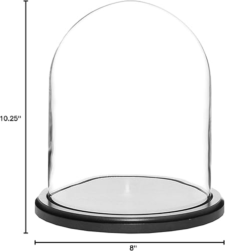 Miniatura 3 de Plymor Cúpula de cristal de 8" x 10.25" (base de chapa de caoba oscura)