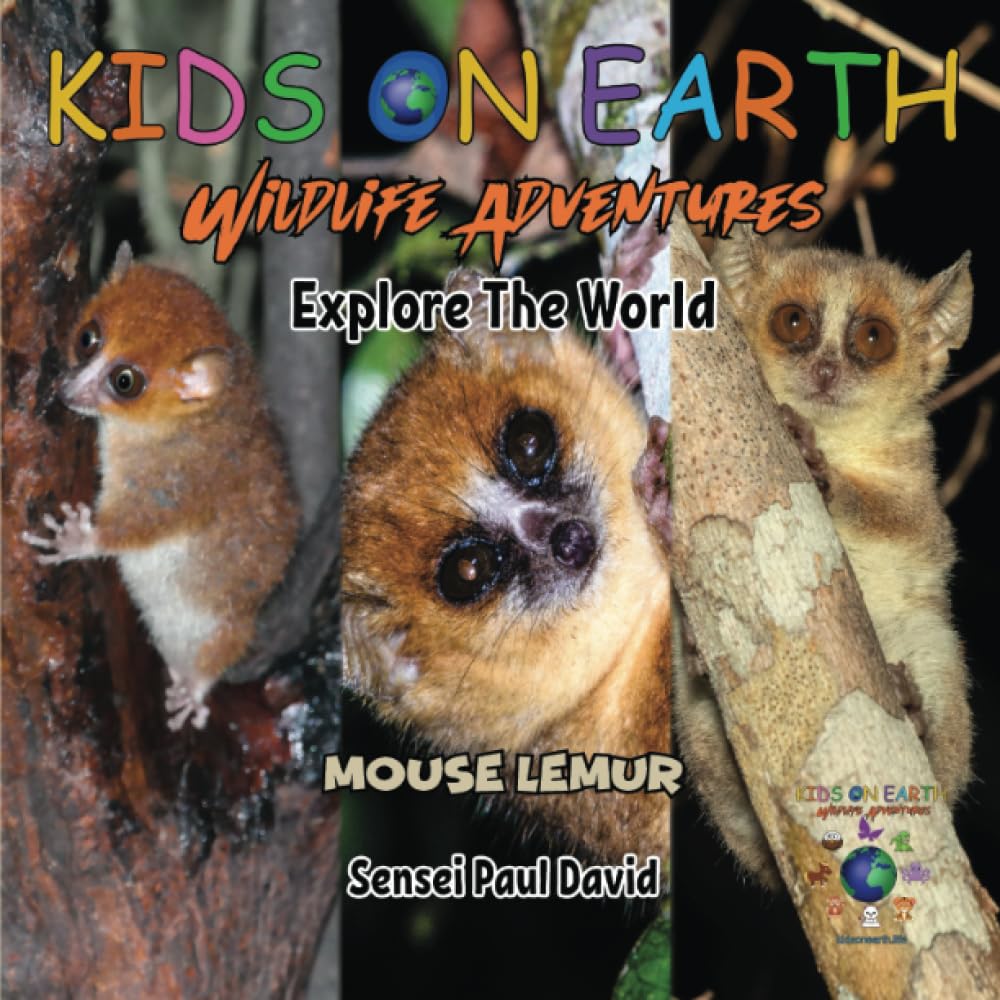 KIDS ON EARTH Wildlife Adventures – Explore The World Mouse Lemur - Madagascar: 17