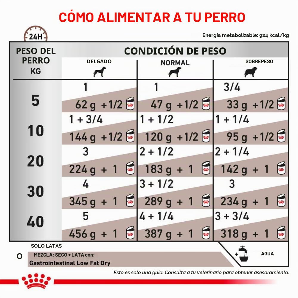 Royal Canin Veterinary Gastrointestinal Low Fat Mousse | 12 x 420 g | Pienso Completo para Perros Adultos | para el Apoyo digestivo y la obesidad.