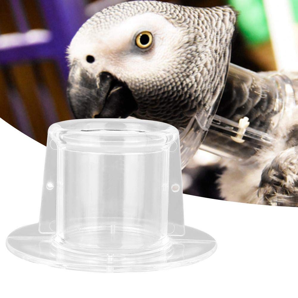Fdit Collar de Cuello de Loro Conos de recuperación de Aves Escudo Protector de Plumas de Aves para pájaros(L)