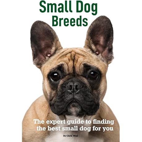 The Ultimate Guide to Small Dog Breeds: Discover Your Perfect Pup
