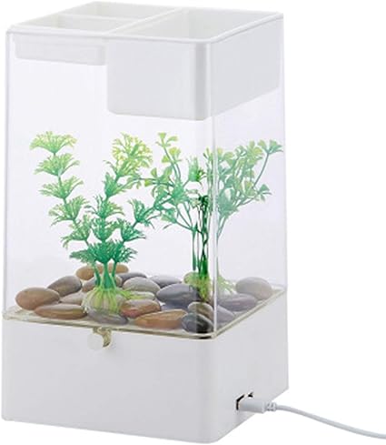 Amazon Com Lovepet Acrylic Mini Micro Landscape Aquarium Small Fish Tank Desk Small Personal Ecology Multifunctional Living Room Creative Aquarium Usb Powered Led Fish Tank Light Sports Outdoors