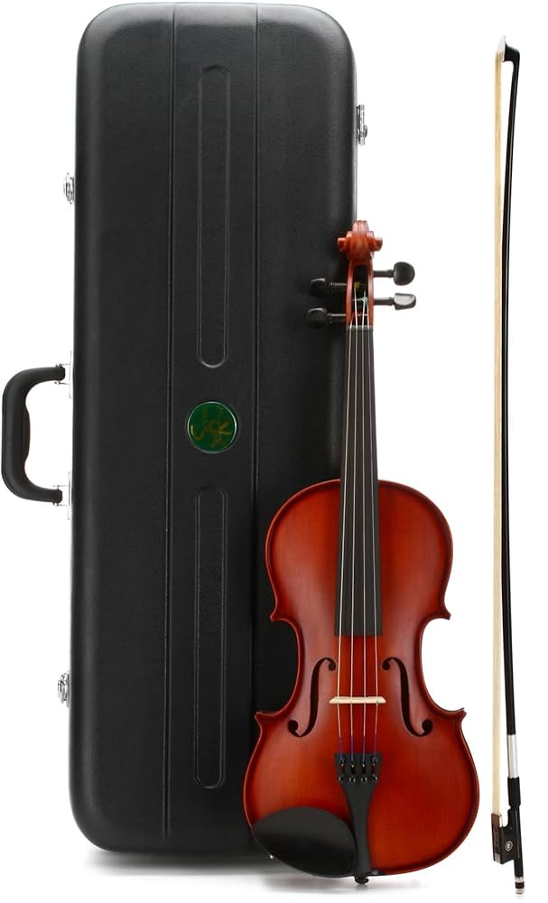 Amazon.com: Scherl & Roth SR41E4H Arietta Student Violin