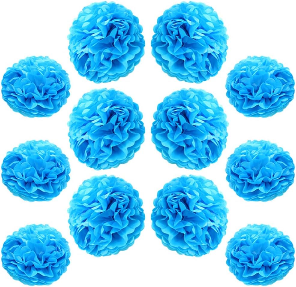 Ruidee 12-Piece Tissue Pompoms - 10in & 12in Hanging Flowers for Wedding Party Decoration (Red)