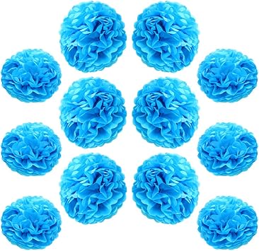Ruidee 12 Pieces Tissue Paper Pompoms 10in and 12in Hanging Tissue Flowers Decorations Colour Paper Flower Ball Paper Flowers Pom Poms for Party Wedding Decoration ZH/Sky Blue