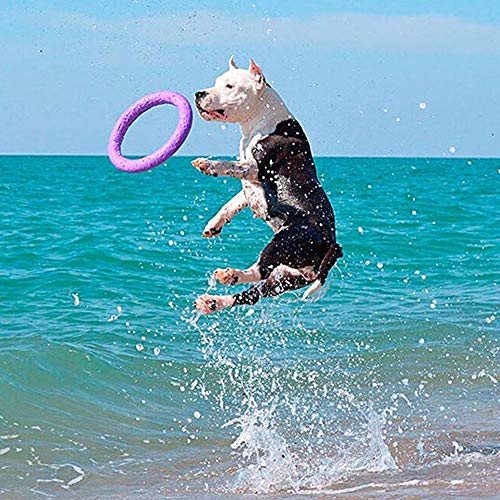 Ferplast Hunde Spielzeug, Hundetraining Ring zum Kauen, zum Laufen, Springen, Schießen, Ungiftig, Schwimmend, Puller Standard, Hundespielzeug für mittelgroße und große Hunde, Set mit 2 Fitness Ringen