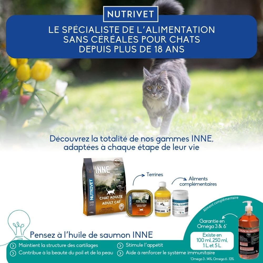 NUTRIVET - INNE Chat - Croquetas sin Cereales - Gato Adulto - Pollo - 80% Ingredientes de Origen Animal - 6kg