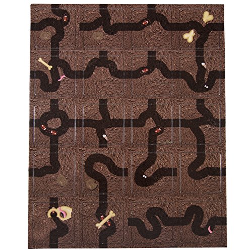Ant Colony Cooperative Board Game para 2 a 6 jugadores miniatura 7