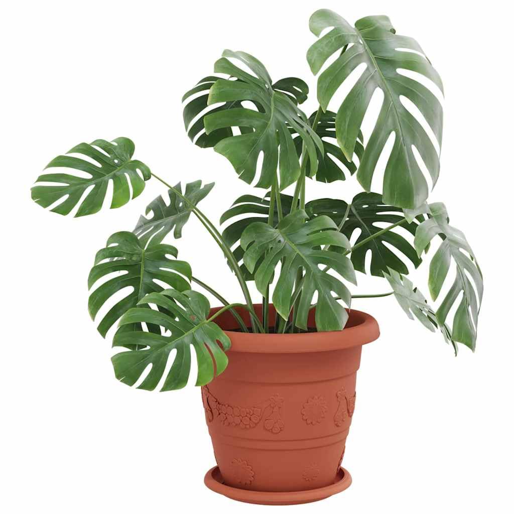 Runde Pflanzenuntersetzer 6er Set Ziegelrot Kunststoff Ø 19 x 2 cm für Blumentopf Pflanzgefäß Pflanzkübel, Indoor Freiluft Balkon Terrasse, gewichtsarm und pflegeleicht
