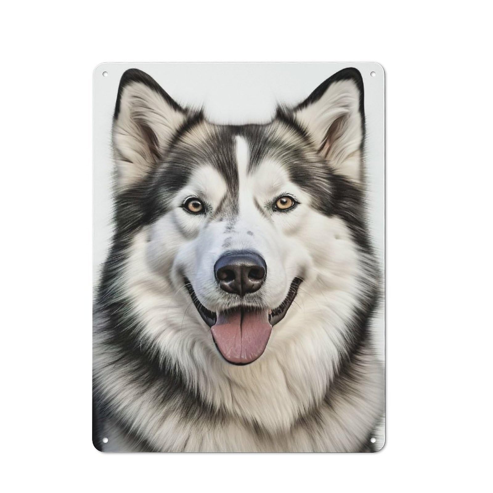 Smiling Alaskan Malamute Country Metal Wall Decor 40x30cm, Tin Wall Plaque for Cottage, Kitchen, Hallway Or Breakfast Nook
