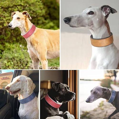 Miniatura 2 de Beirui Collar de perro de cuero resistente de 2 pulgadas de ancho para perros medianos, grandes y extragrandes, collar de perro de cuero grueso con