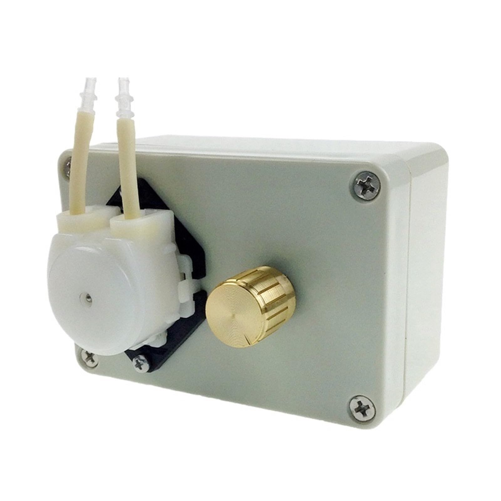 Pompa peristaltica ad alta precisione con velocità regolabile AC220V/240V - Pompa dosatrice da laboratorio da 100 ml/min(220V)