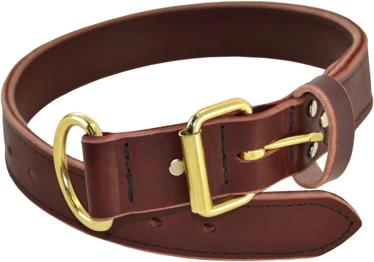 Ray Allen Mfg Signature K9 Heavy Agitation Collar with Handle, 2-Inch, Burgundy