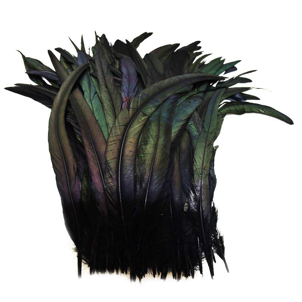 CENFRY Nature Rooster Coque Tails Feathers Costume Craft Decoration 14-16inch Pack of 10 (Black)