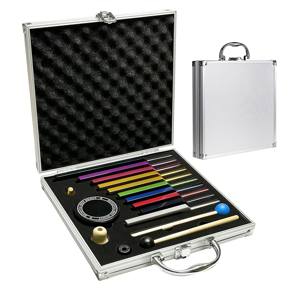 Stimmgabel Neurologie, 10er Set mit Sockel + 2 Silikonhämmer und Reinigungstücher, Ideale Stimmgabeln für Heilung, Chakrenheilung, Klangheilung, Anti-Kompression.