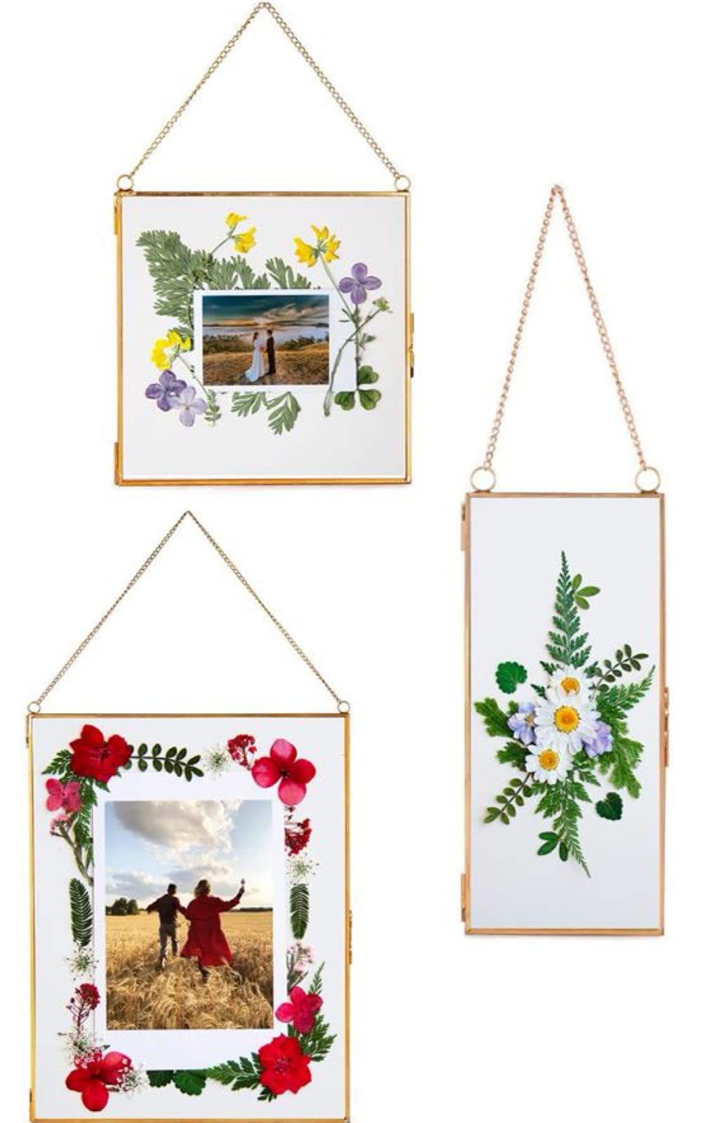 Buy Double Glass Frame for Pressed Flowers, Leaf and Artwork Set of 3