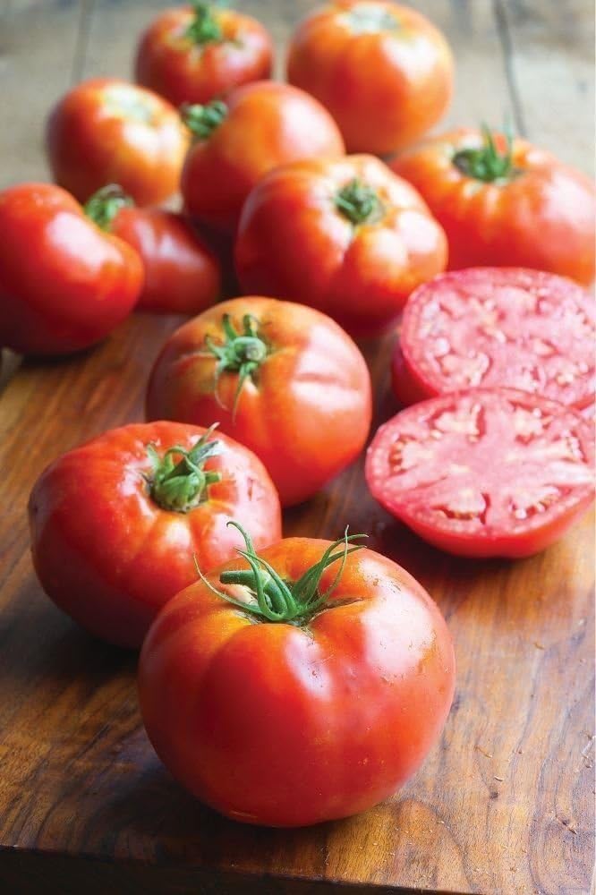 JustSeed - Tomato - Big Daddy - 10 Seeds