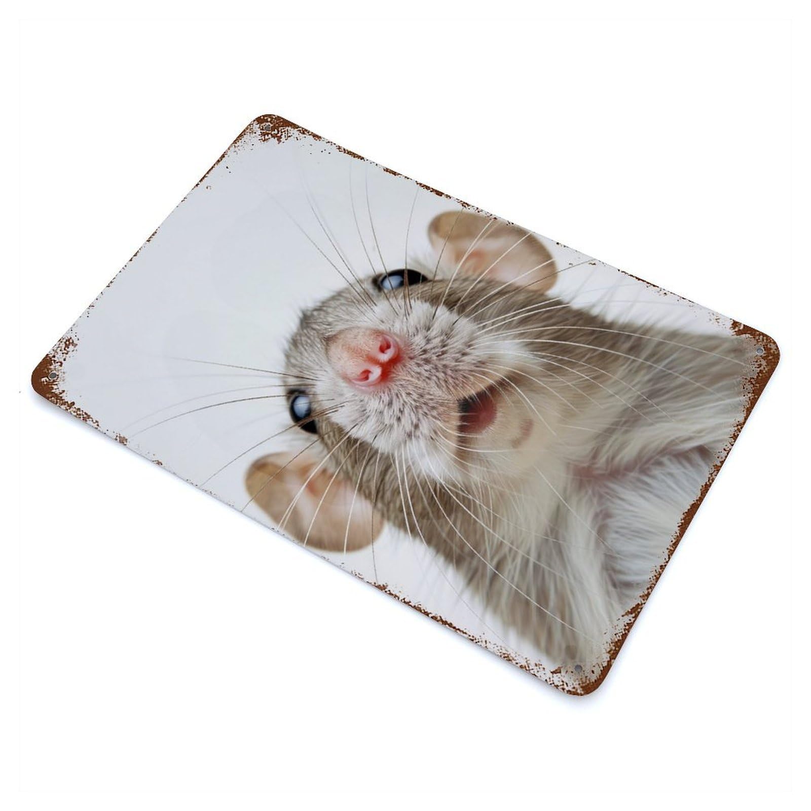 Garage Style Rat Face Rusty Metal Tin Sign 11.8"x7.9", Novelty Wall Decor for Bar And Workshop