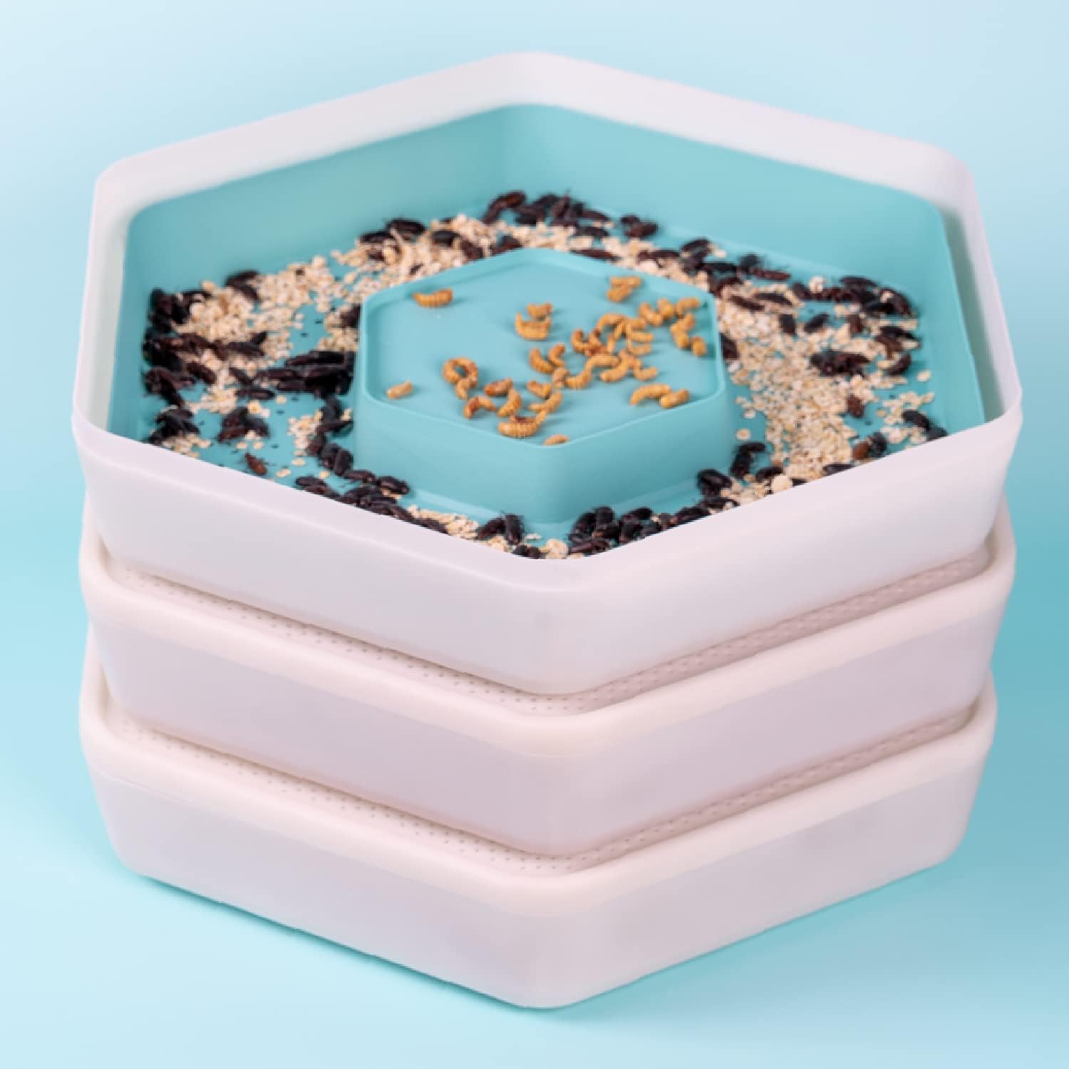 Bug Factory Mealworm Growing Pods Mealworm Breeding and Farming