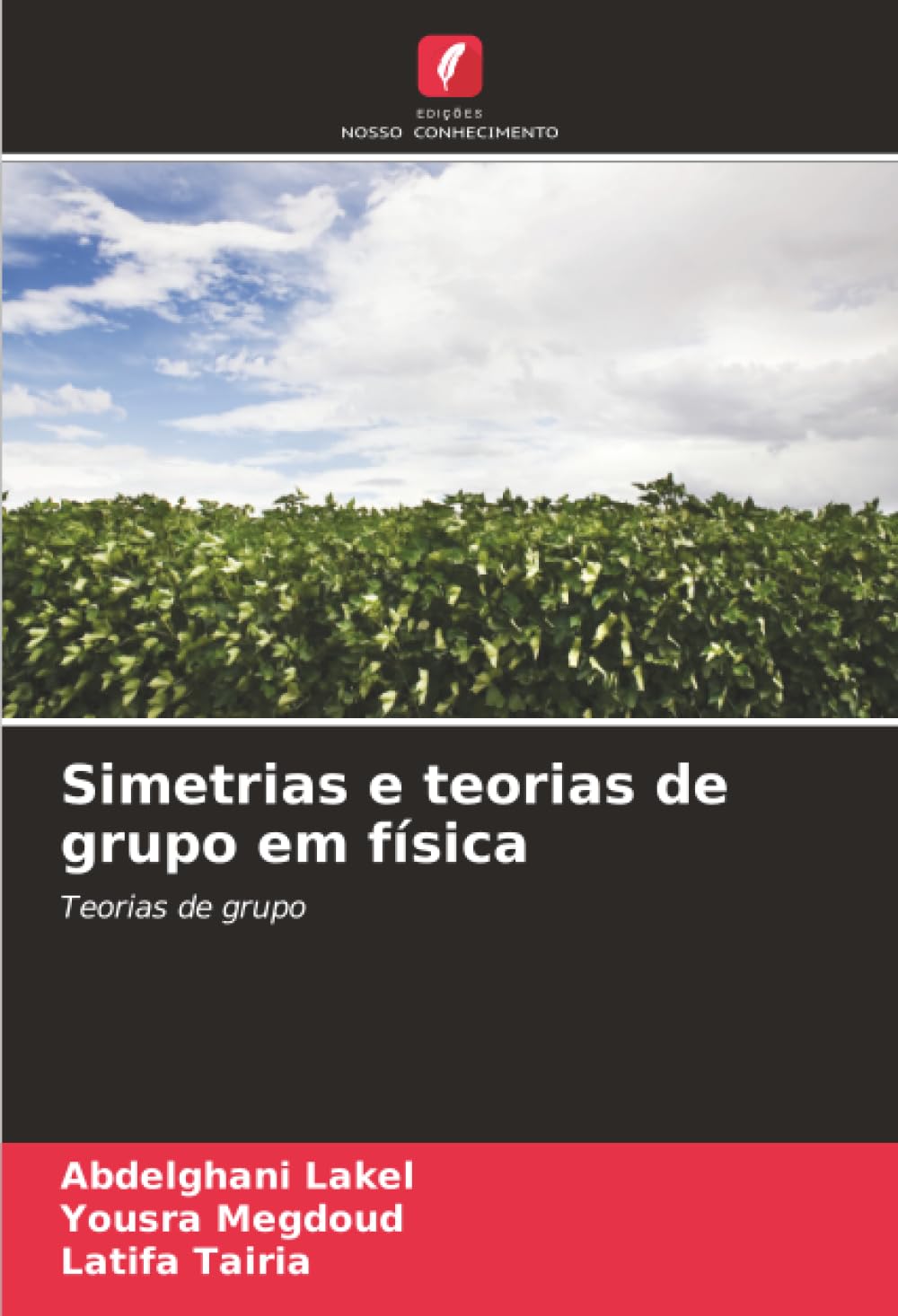 Simetrias e teorias de grupo em física: Teorias de grupo