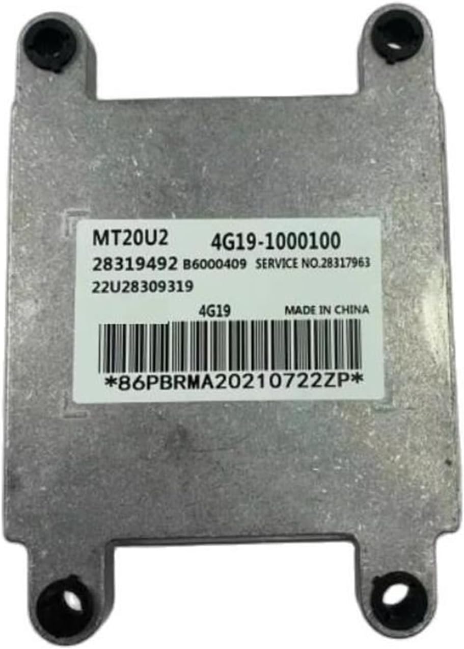 ➃ナンドクマイマンゴー耐寒性台木 23 ヤマシタマンゴー苗 耐寒性