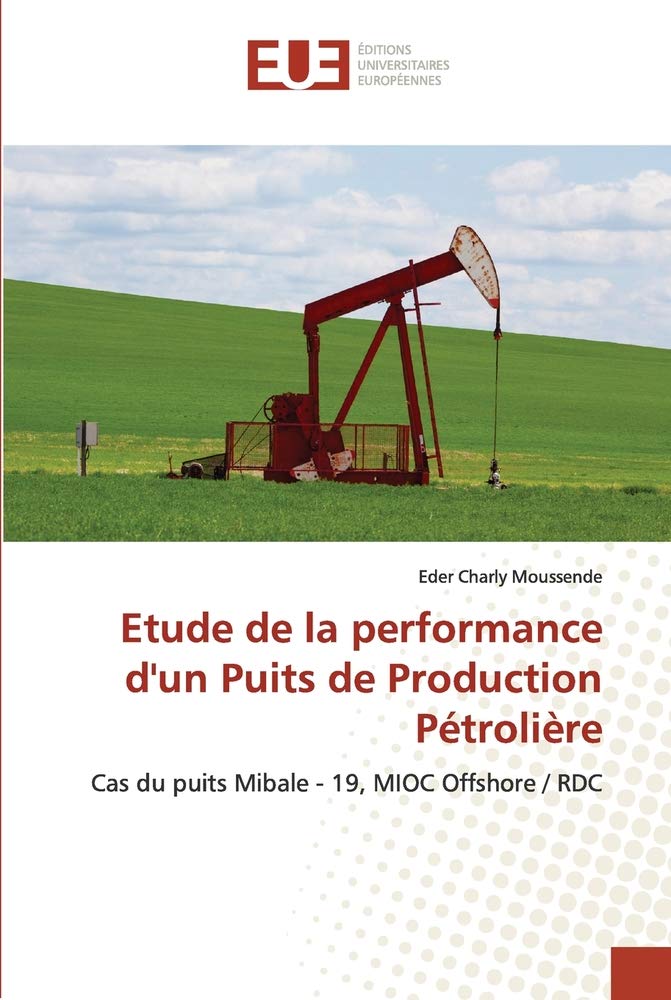 Etude de la performance d'un Puits de Production Pétrolière: Cas du puits Mibale - 19, MIOC Offshore / RDC