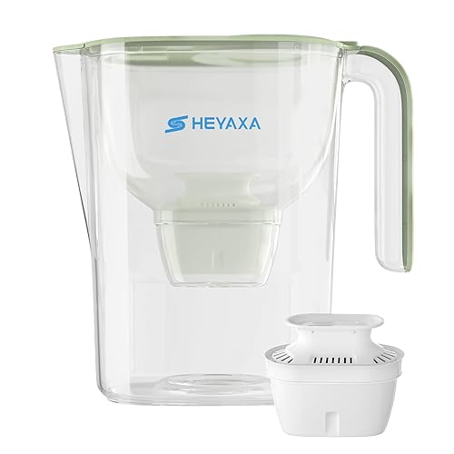 Jarras de filtro de agua para agua potable y de grifo, capacidad de 10 tazas, sin BPA, elimina el cloro, el plomo, productos químicos Forver (verde)
