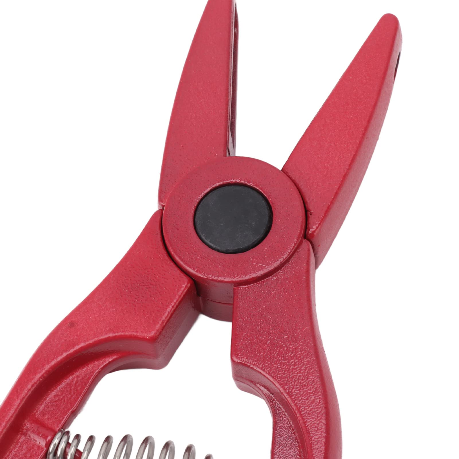 Pinza per Marchi Auricolari per Bestiame Bovini Ovini Piegata a metà Suini da Fattoria Capre Agnello Pieghevole con Pinza Applicatore Manico per Forniture di