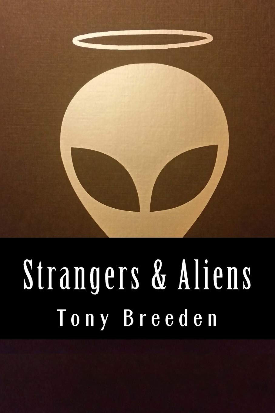 Strangers & Aliens: A Christian Sci-Fi Author Explores the Argument for Extraterrestrial Life (DefGen Creation Apologetics)